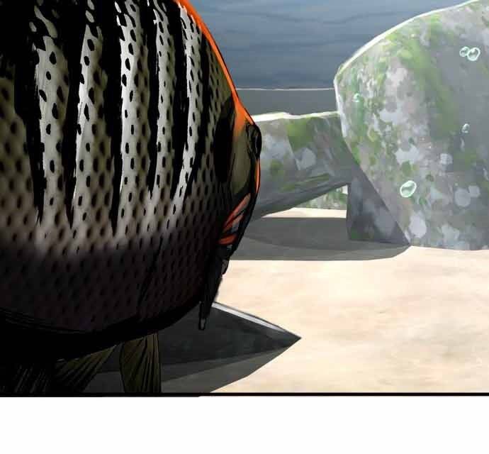 Hoá Thân Thành Cá Chapter 17 - 100