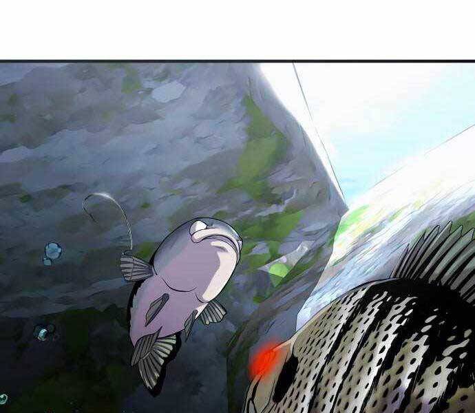 Hoá Thân Thành Cá Chapter 18 - 12