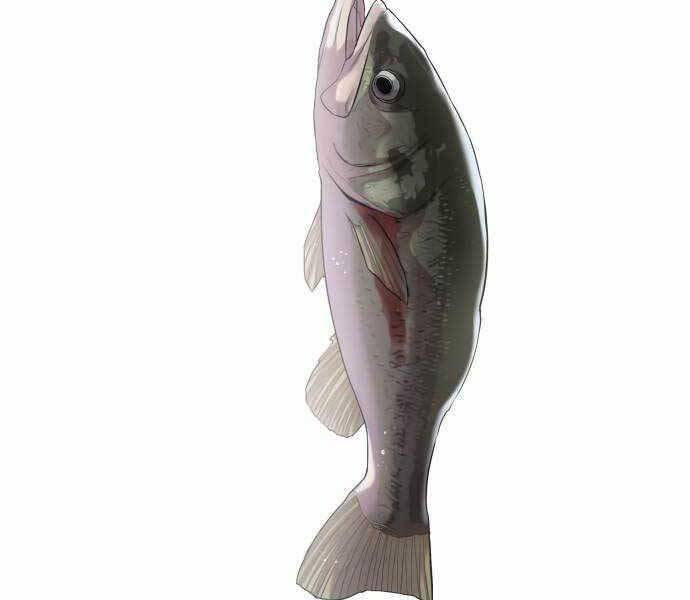 Hoá Thân Thành Cá Chapter 18 - 146