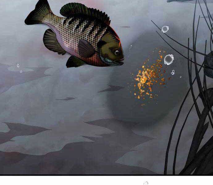 Hoá Thân Thành Cá Chapter 18 - 205