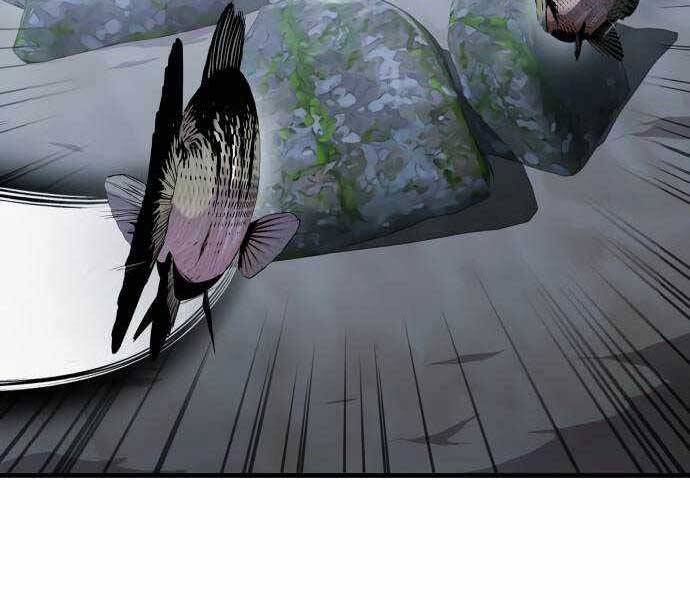 Hoá Thân Thành Cá Chapter 18 - 60