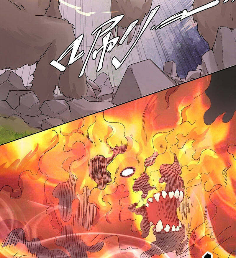 Vô Tận Thôn Phệ Chapter 17 - 43