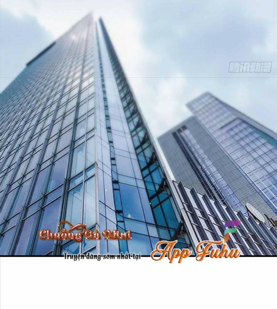 Cố Tổng, Vợ Của Ngài Quá Mạnh Rồi! Chapter 67 - 16