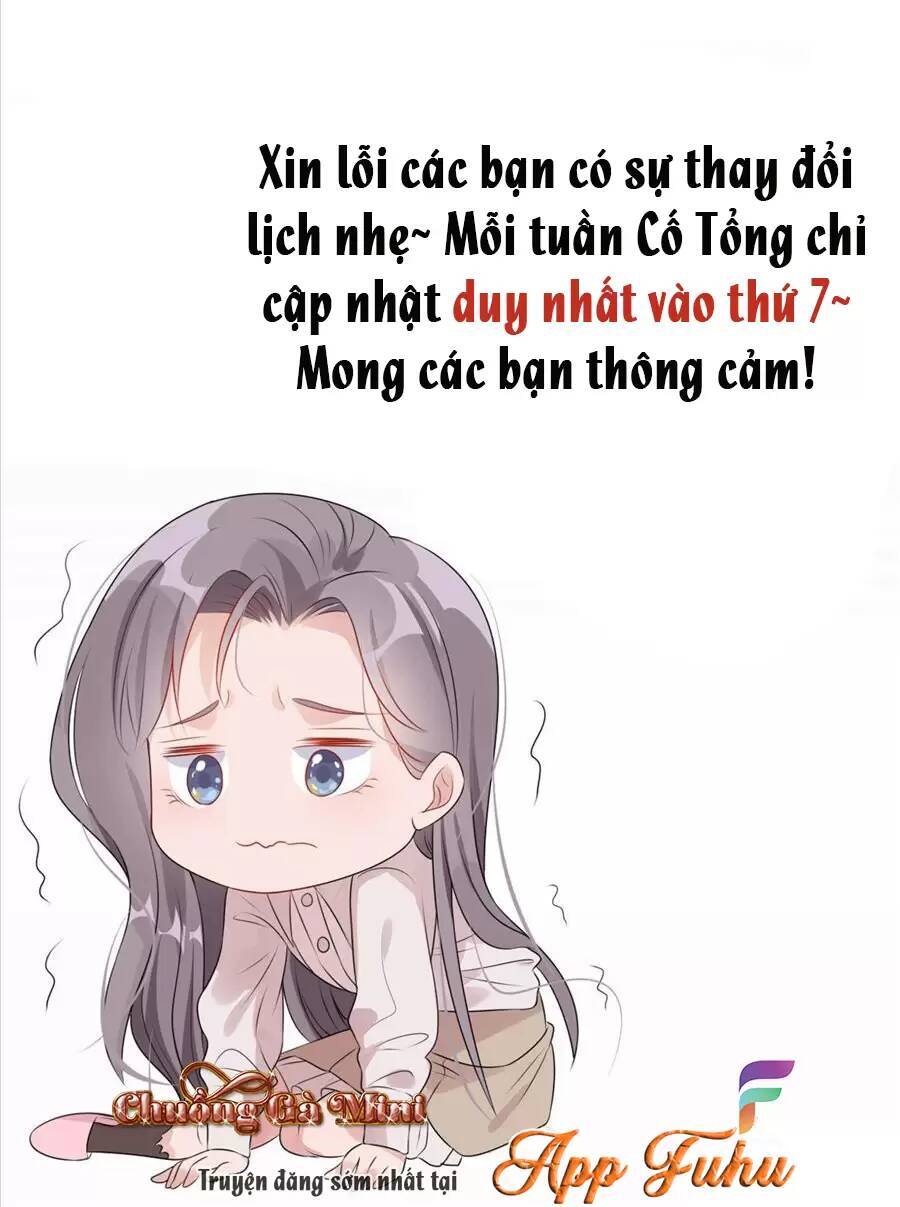 Cố Tổng, Vợ Của Ngài Quá Mạnh Rồi! Chapter 81 - 48