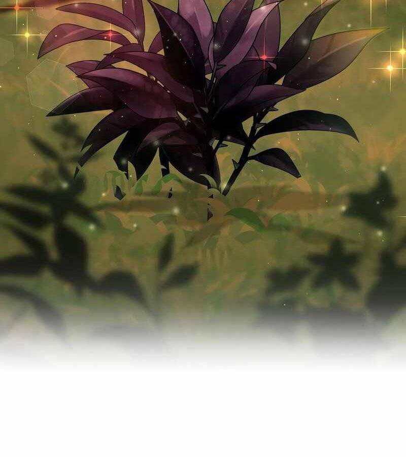 Thiên Tài Kiếm Thuật Của Gia Tộc Danh Giá Chapter 22 - 4