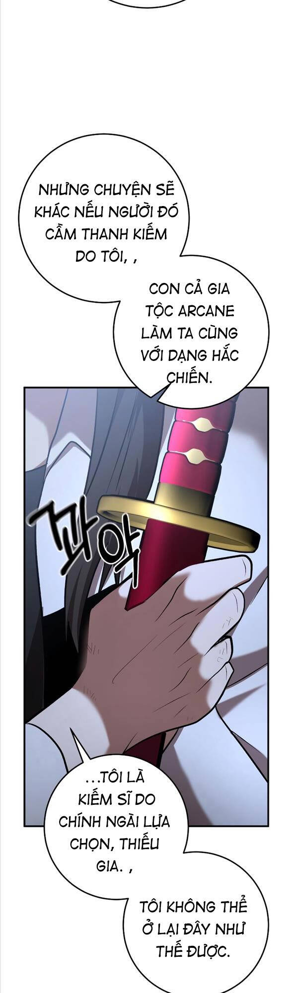 Thiên Tài Kiếm Thuật Của Gia Tộc Danh Giá Chapter 47 - 58