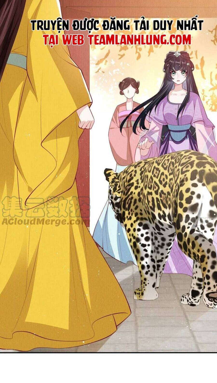 Vì Ta Trăm Hoa Cũng Phải Úa Tàn Chapter 41 - 5