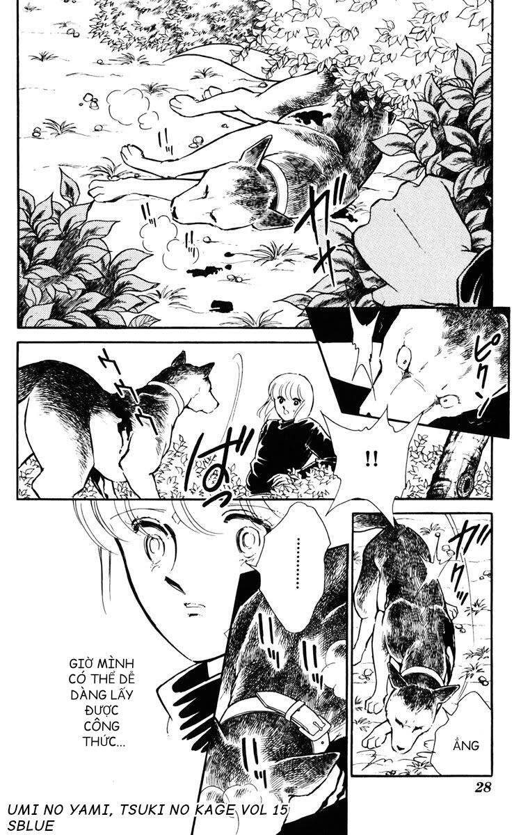 Umi No Yami, Tsuki No Kage Chapter 73 - 29