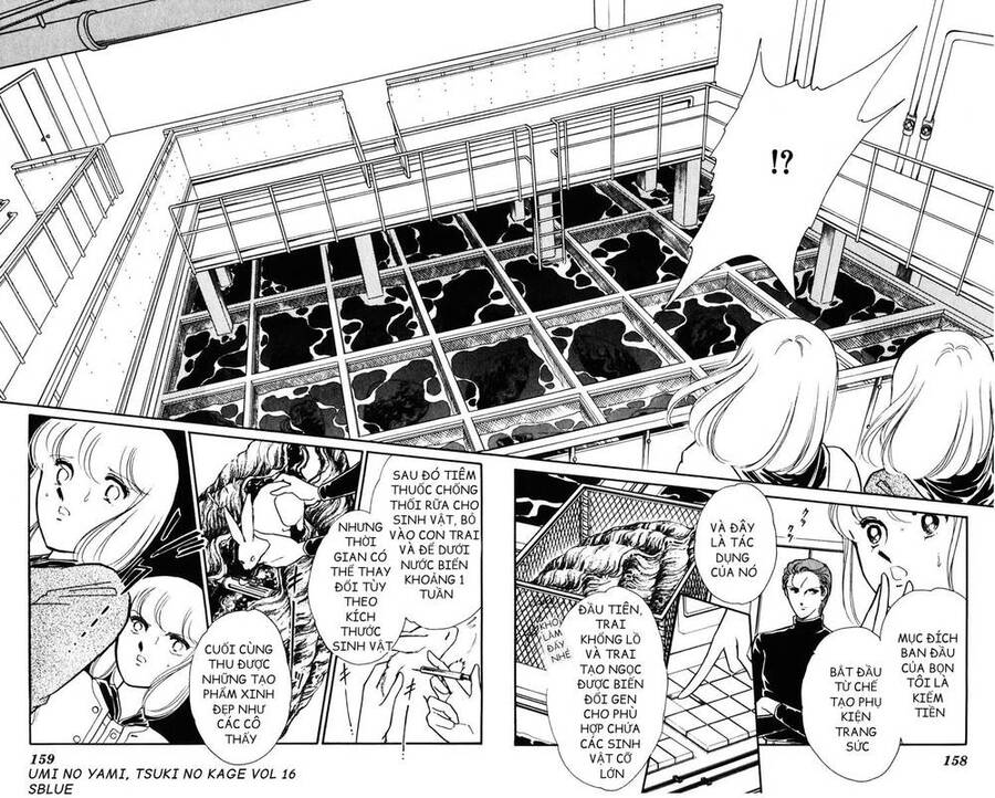 Umi No Yami, Tsuki No Kage Chapter 84 - 9