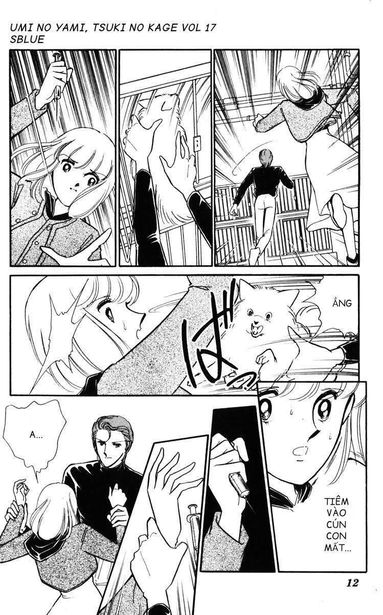 Umi No Yami, Tsuki No Kage Chapter 85 - 11