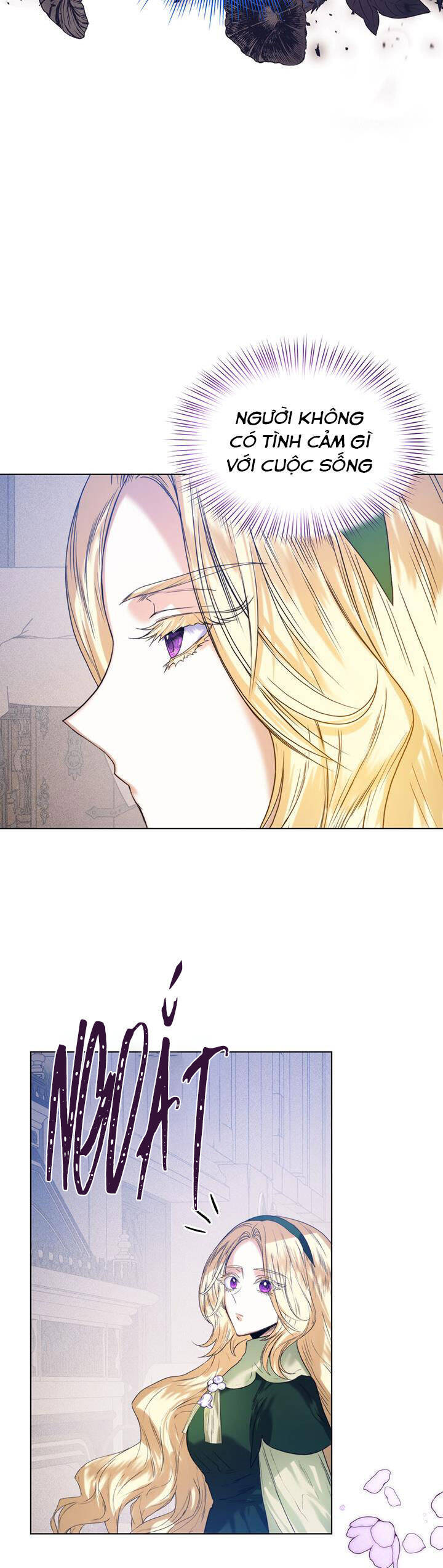 Cuộc Hôn Nhân Hoàng Gia Chapter 33 - 28