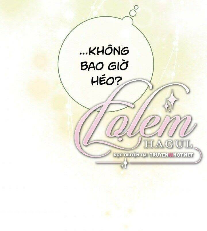 Cuộc Hôn Nhân Vụ Lợi Chapter 23 - 116