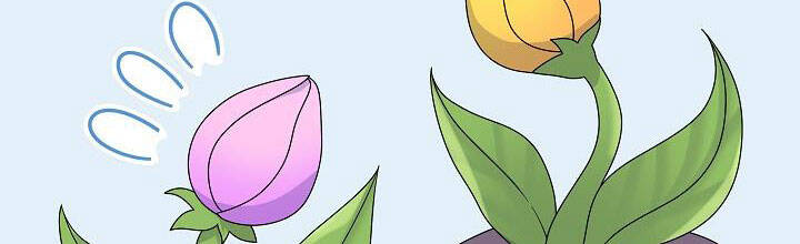 Trở Thành Con Gái Của Các Nhân Vật Chính Chapter 28 - 227