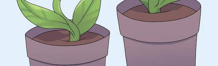 Trở Thành Con Gái Của Các Nhân Vật Chính Chapter 28 - 228