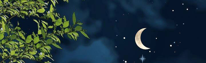 Trở Thành Con Gái Của Các Nhân Vật Chính Chapter 28 - 470