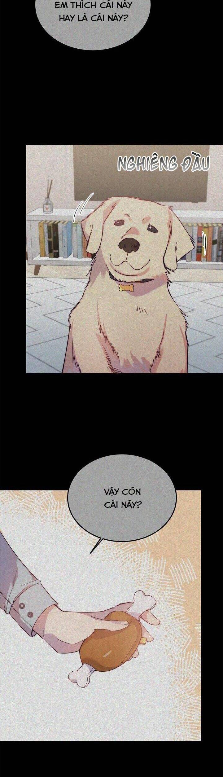 Cách Để Trao Vương Miện Cho Vị Hoàng Tử Hoang Dã Của Tôi. Chapter 17 - 28