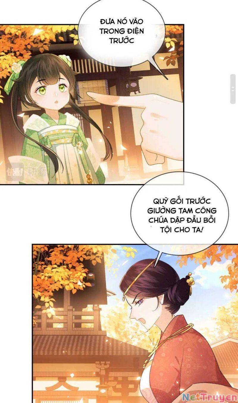 Mãn Cấp Trà Xanh Xuyên Không Thành Tiểu Đáng Thương Chapter 2 - 13