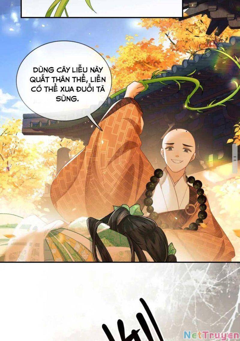 Mãn Cấp Trà Xanh Xuyên Không Thành Tiểu Đáng Thương Chapter 2 - 36