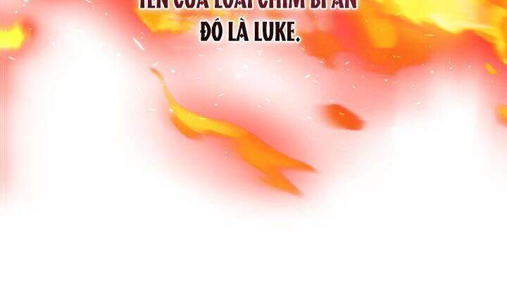 Nam Chính Là Chồng Cũ Của Tôi Chapter 21 - 22