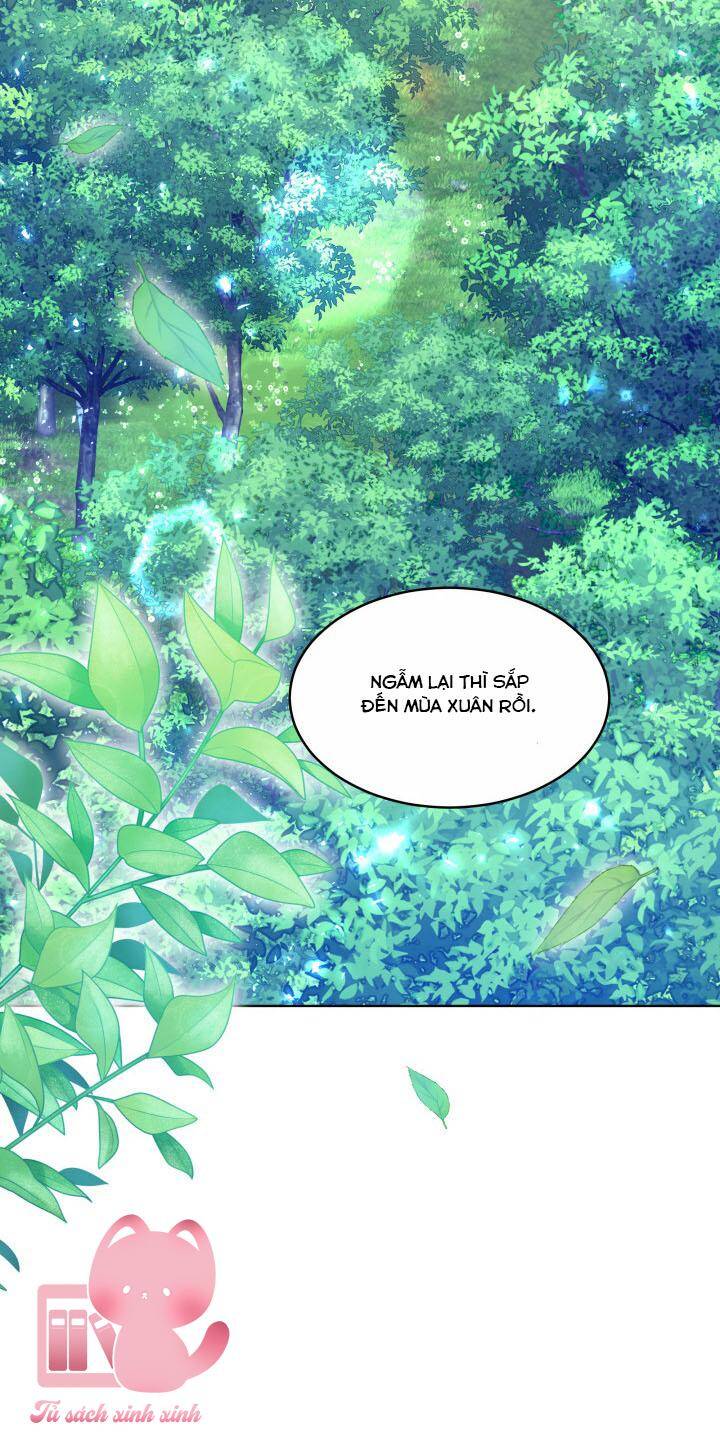 Nam Chính Là Chồng Cũ Của Tôi Chapter 38 - 12