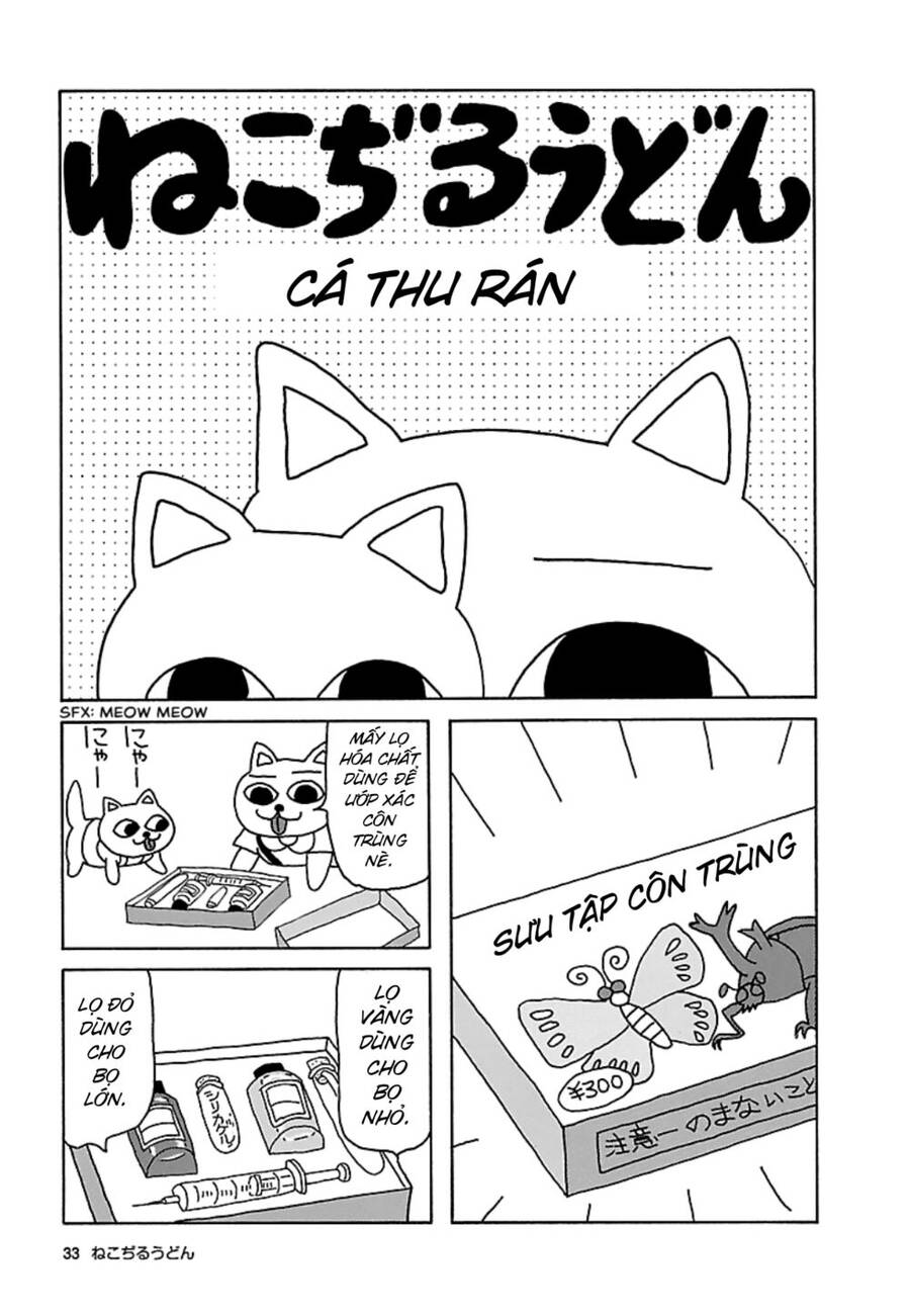 Nekojiru Udon Chapter 16 - 1