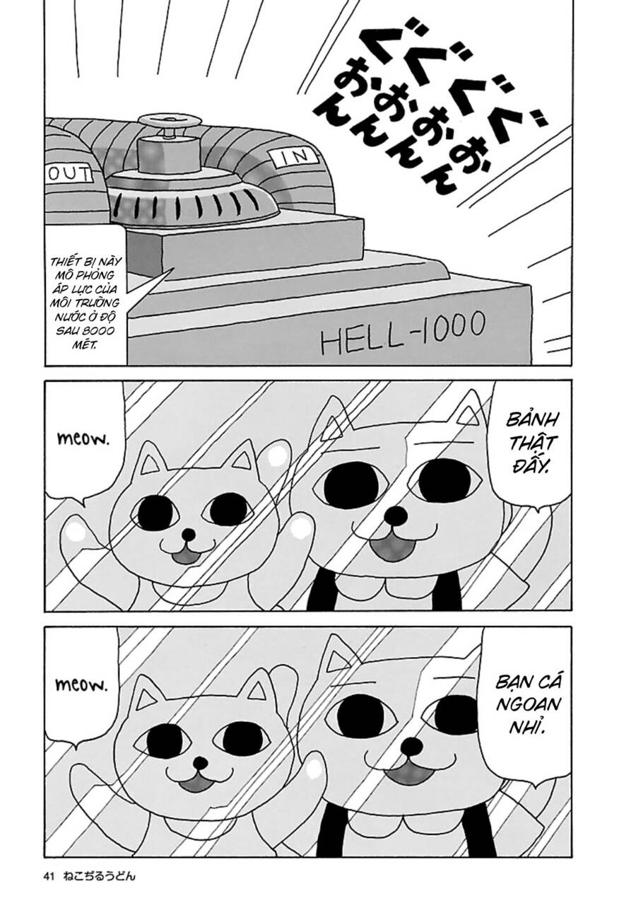 Nekojiru Udon Chapter 17 - 4