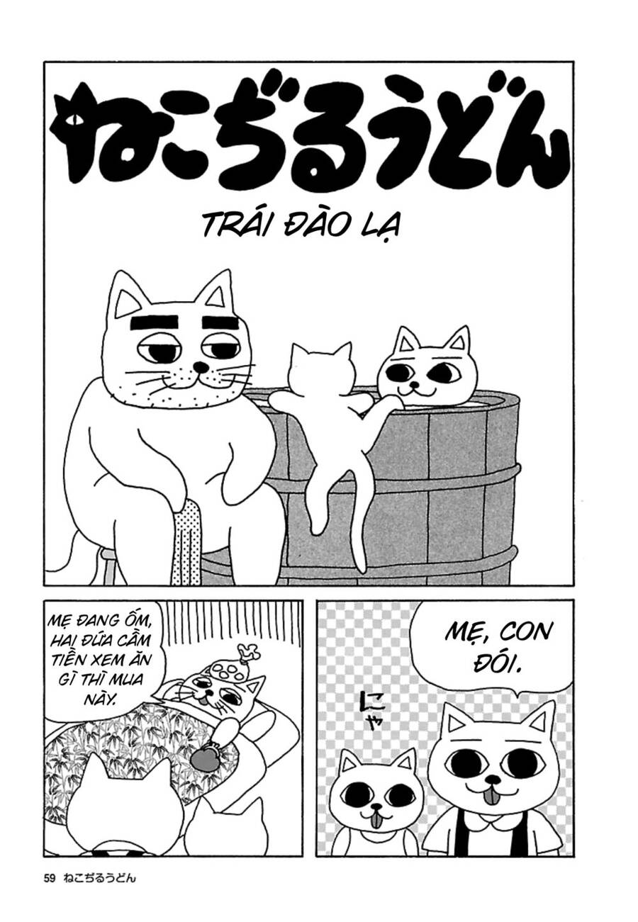 Nekojiru Udon Chapter 19 - 1