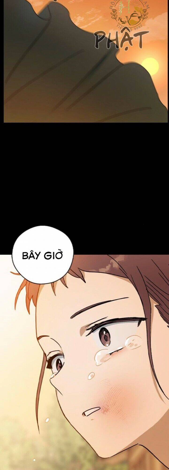 Duyên Nợ Kiếp Trước Chapter 17 - 40