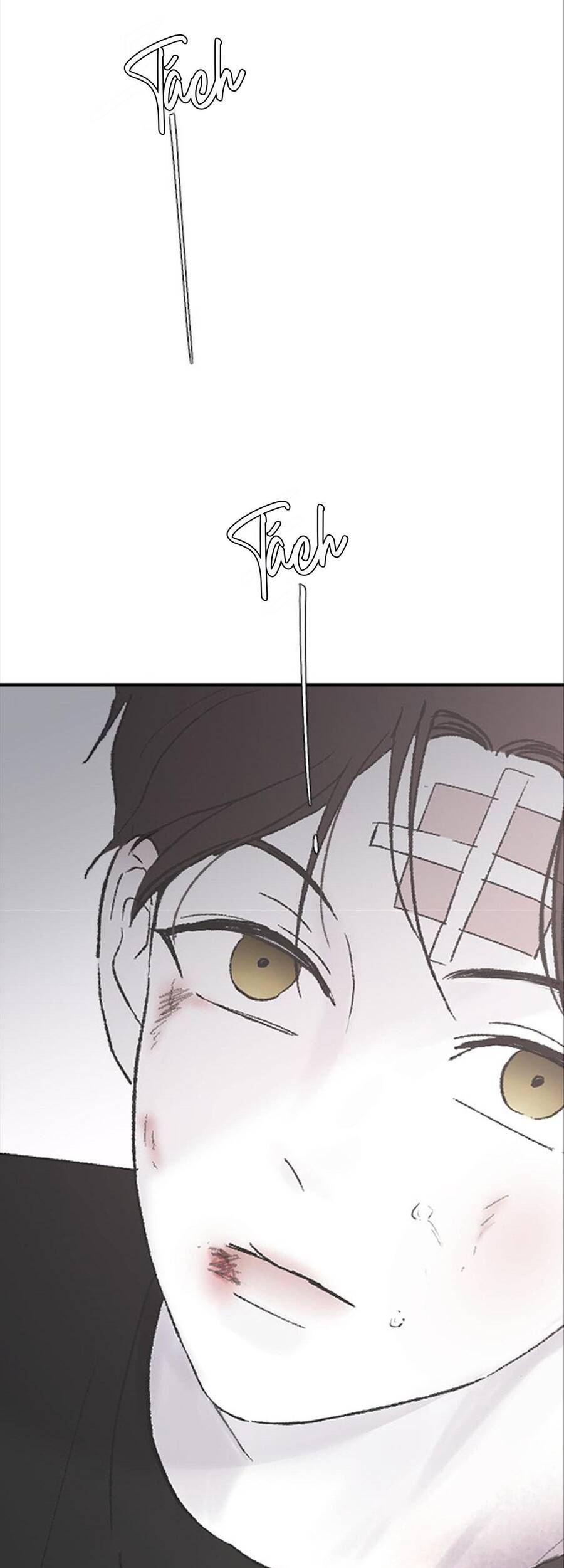 Ba Người Anh Trai Cực Phẩm Của Tôi Chapter 53 - 77