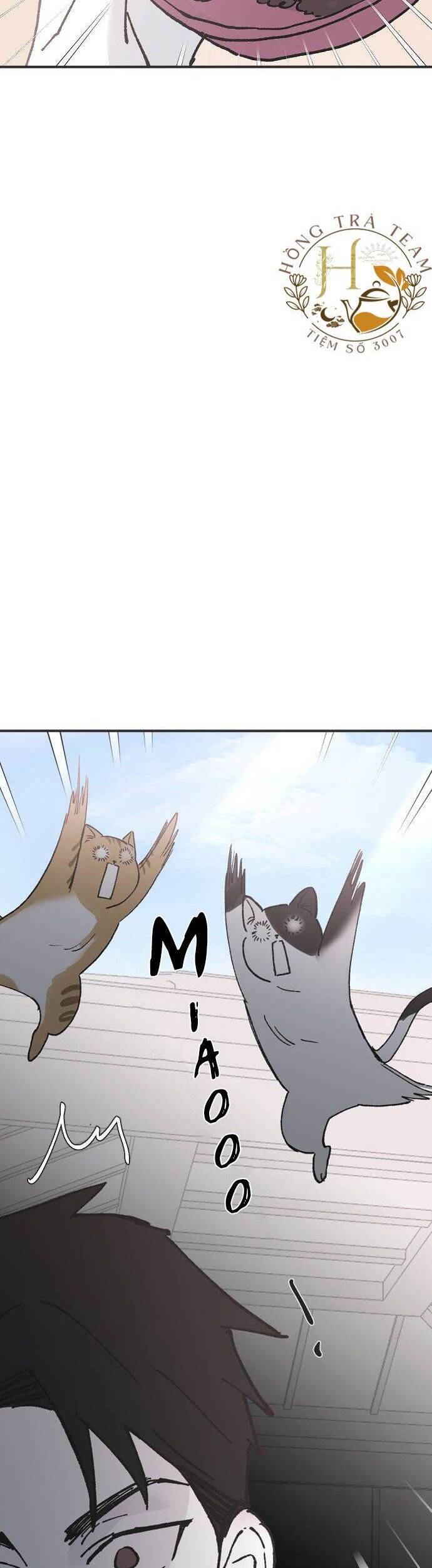 Ba Người Anh Trai Cực Phẩm Của Tôi Chapter 24 - 31