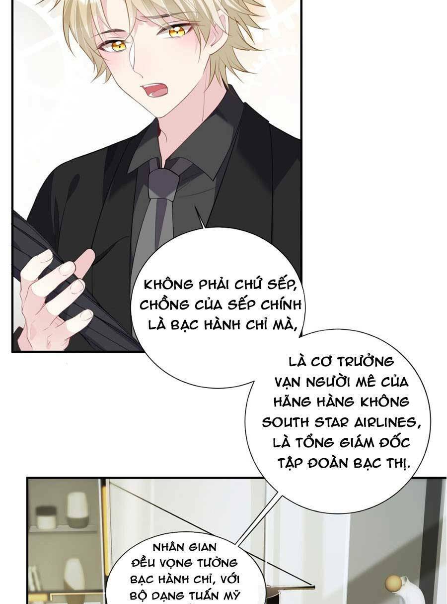 Vợ Tôi Là Boss Ngầm Đầy Quyền Lực Chapter 2 - 31