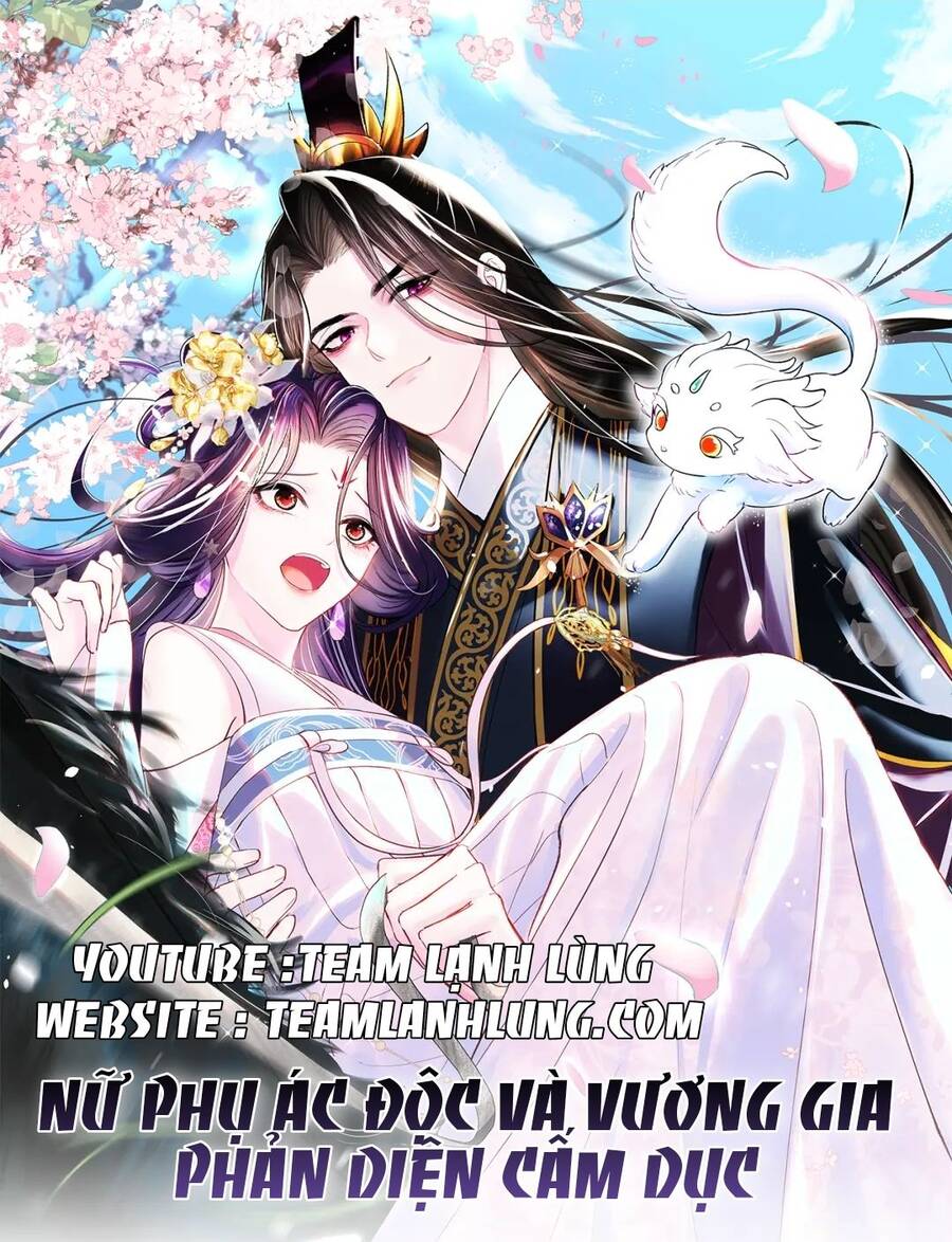 Nữ Phụ Ác Độc Và Vương Gia Phản Diện Cấm Dục Chapter 6 - 1