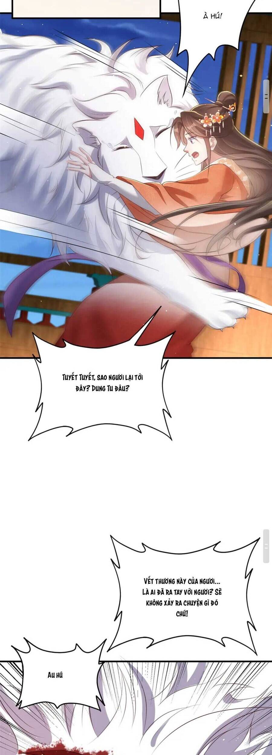 Trùng Sinh Sống Lại ! Các Hoàng Tử Ai Cũng Muốn Cưới Ta ! Chapter 48 - 21