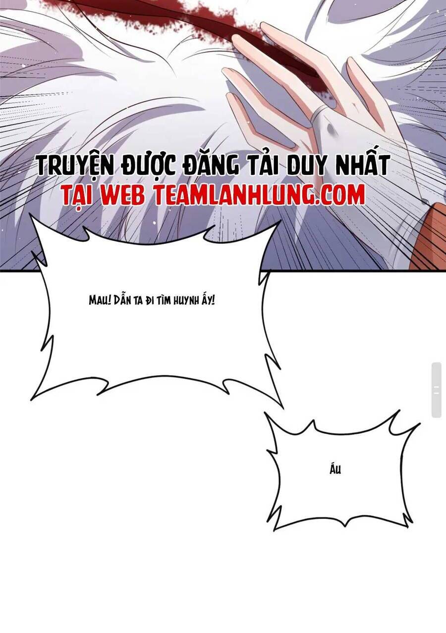 Trùng Sinh Sống Lại ! Các Hoàng Tử Ai Cũng Muốn Cưới Ta ! Chapter 48 - 22