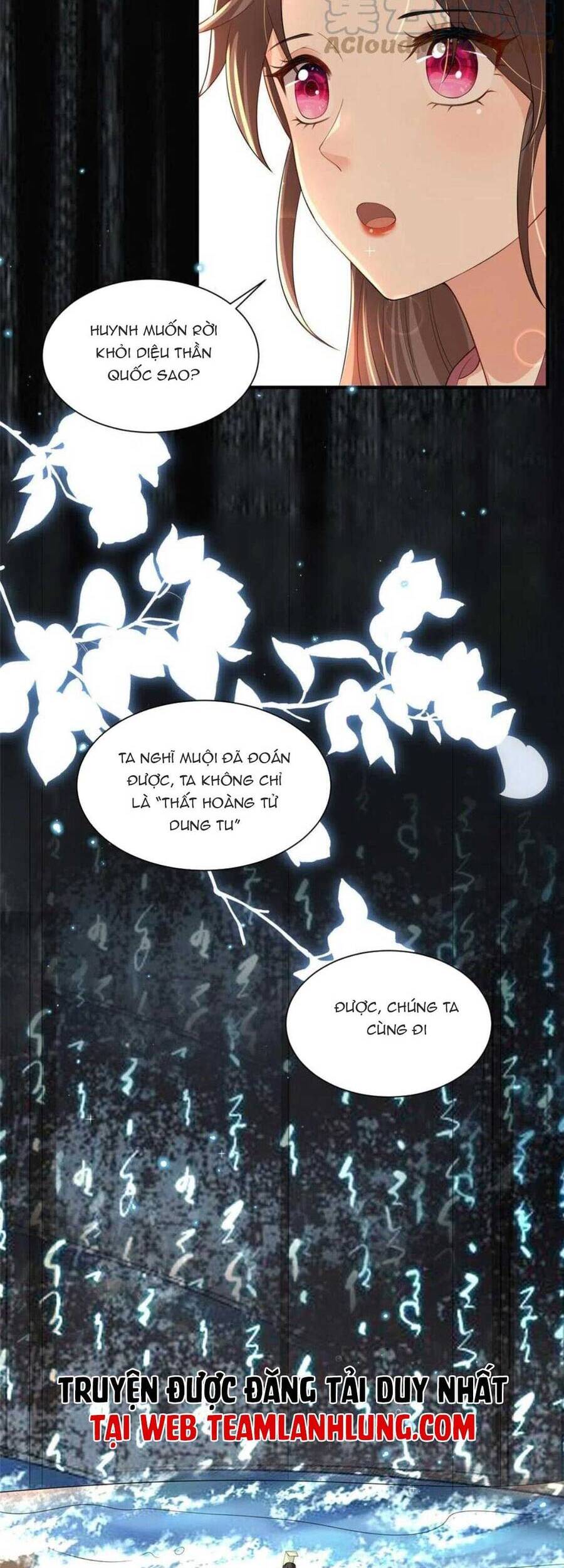Trùng Sinh Sống Lại ! Các Hoàng Tử Ai Cũng Muốn Cưới Ta ! Chapter 50 - 8