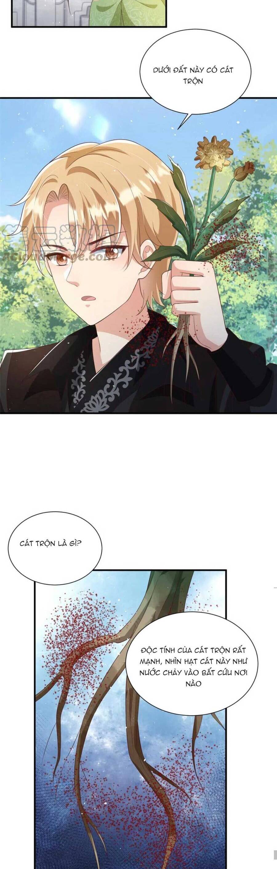 Trùng Sinh Sống Lại ! Các Hoàng Tử Ai Cũng Muốn Cưới Ta ! Chapter 64 - 7