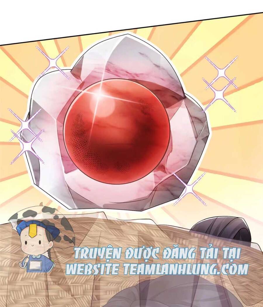 Trùng Sinh Sống Lại ! Các Hoàng Tử Ai Cũng Muốn Cưới Ta ! Chapter 12 - 31