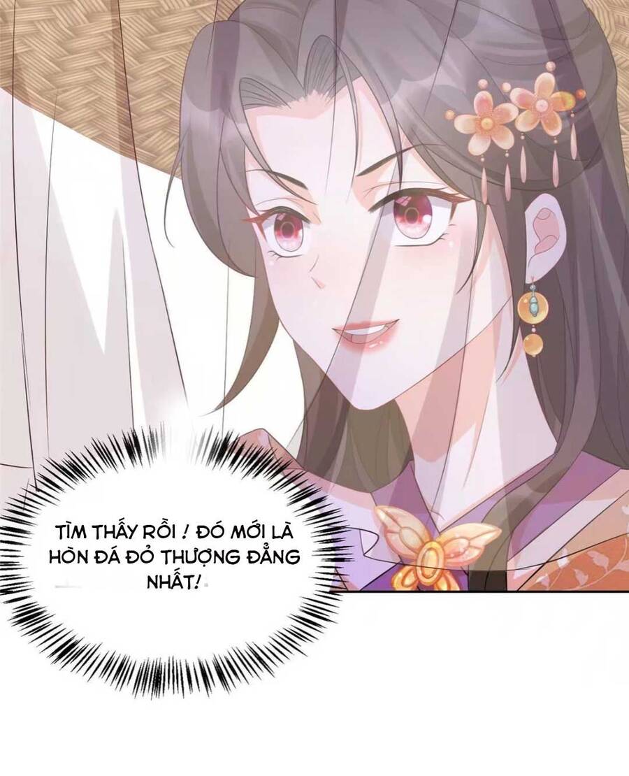 Trùng Sinh Sống Lại ! Các Hoàng Tử Ai Cũng Muốn Cưới Ta ! Chapter 12 - 32