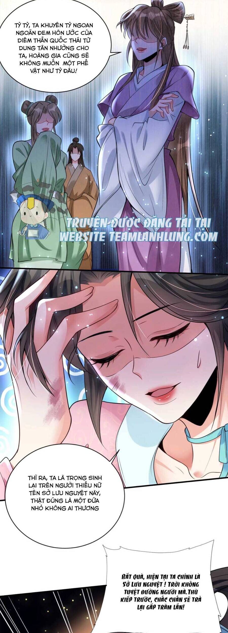 Trùng Sinh Sống Lại ! Các Hoàng Tử Ai Cũng Muốn Cưới Ta ! Chapter 2 - 13