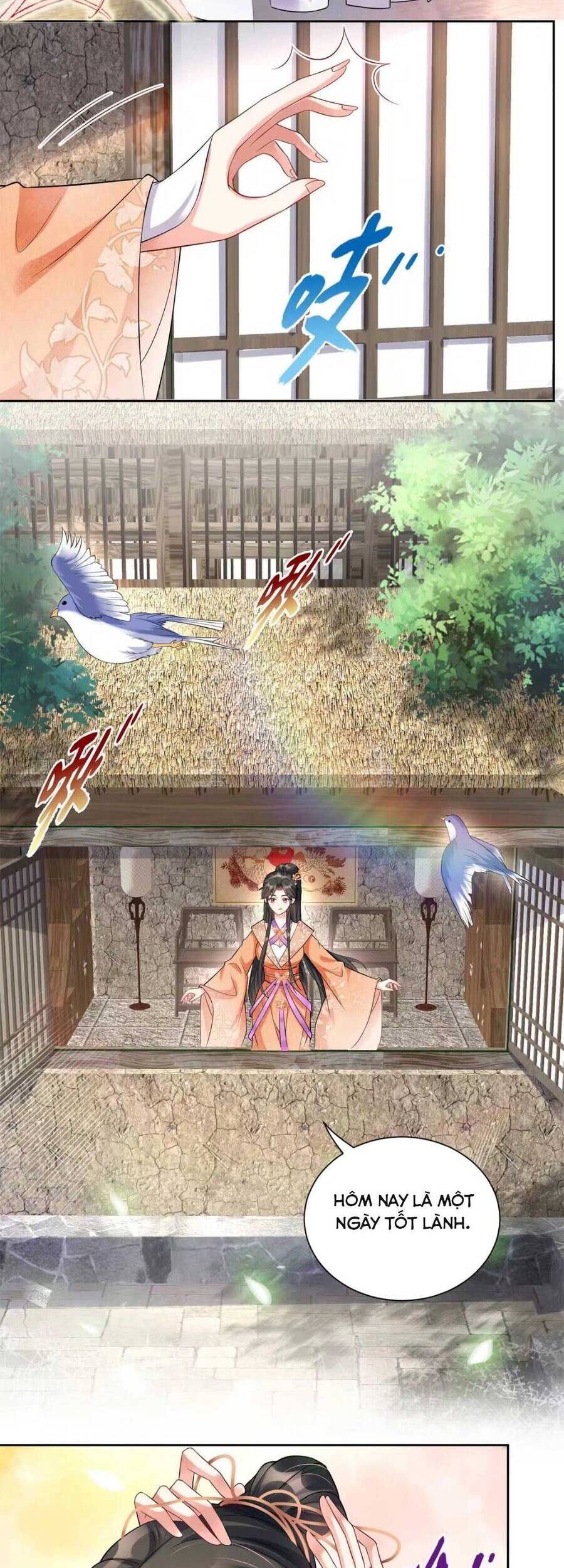 Trùng Sinh Sống Lại ! Các Hoàng Tử Ai Cũng Muốn Cưới Ta ! Chapter 7 - 23