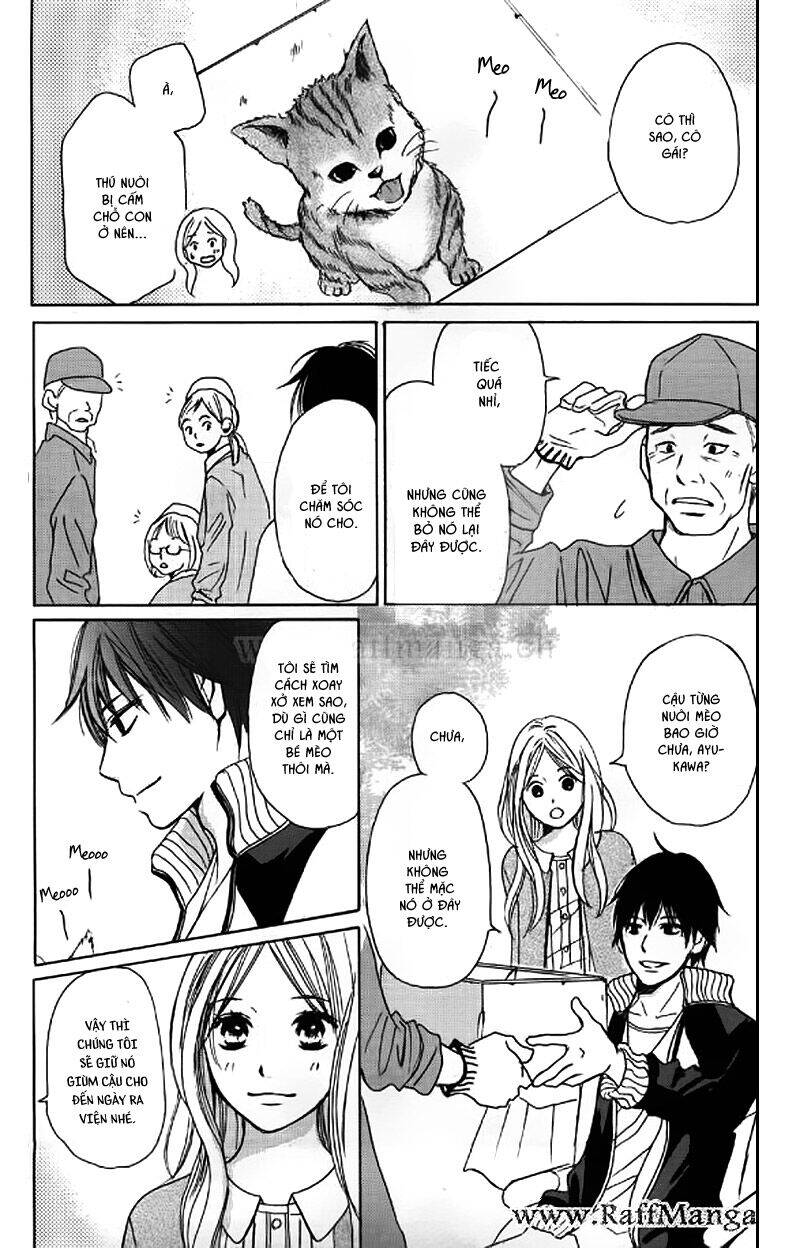 Perfect World (Aruga Rie) Chapter 4 - 13