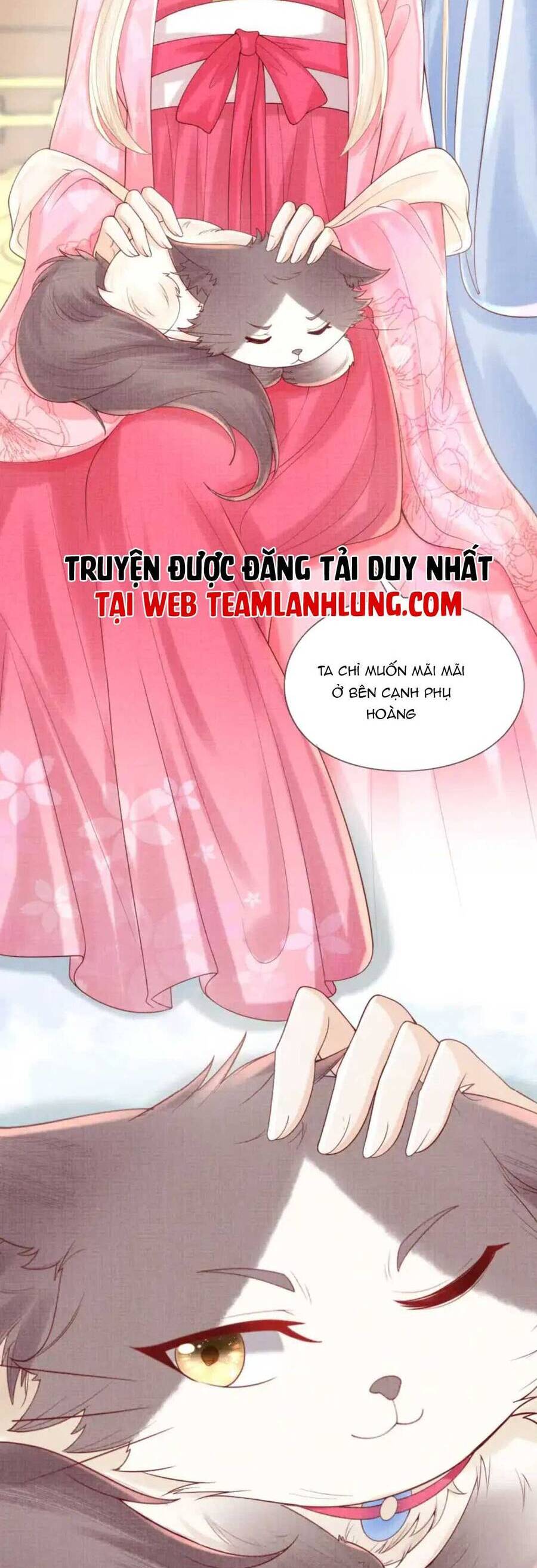Các Đệ Tử Ai Cũng Nói Yêu Ta Chapter 19 - 11