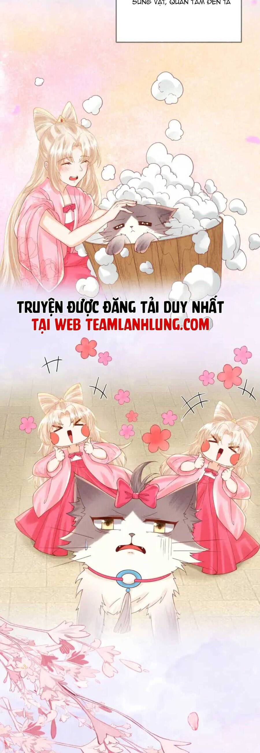 Các Đệ Tử Ai Cũng Nói Yêu Ta Chapter 21 - 13