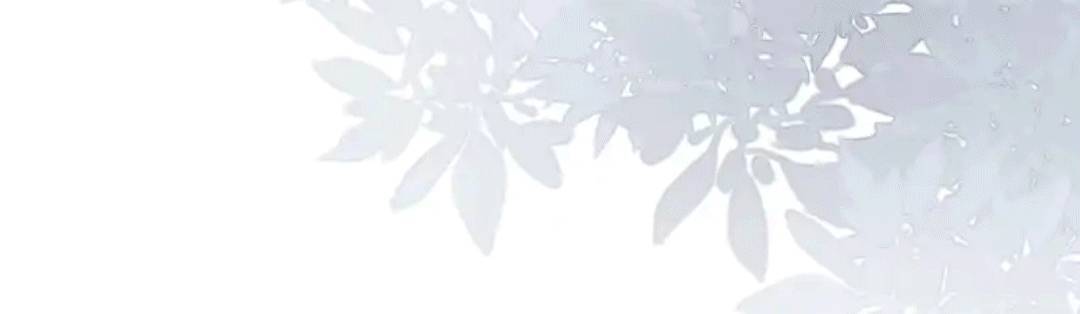 Nữ Phụ Ngày Nào Cũng Muốn Ly Hôn Với Ta Chapter 11 - 11