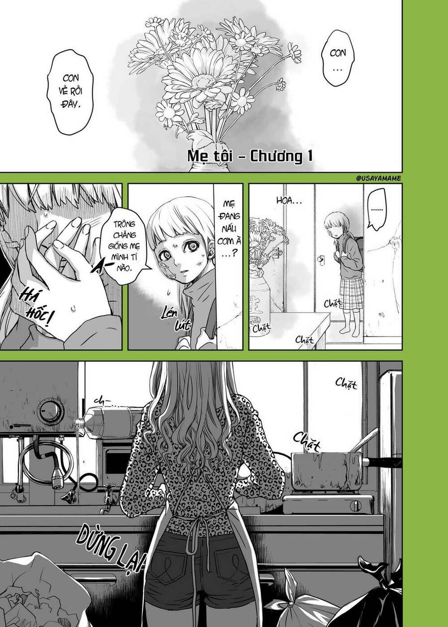 Những Người Bị Cướp Thể Xác Bởi Người Ngoài Hành Tinh Chapter 1 - 1