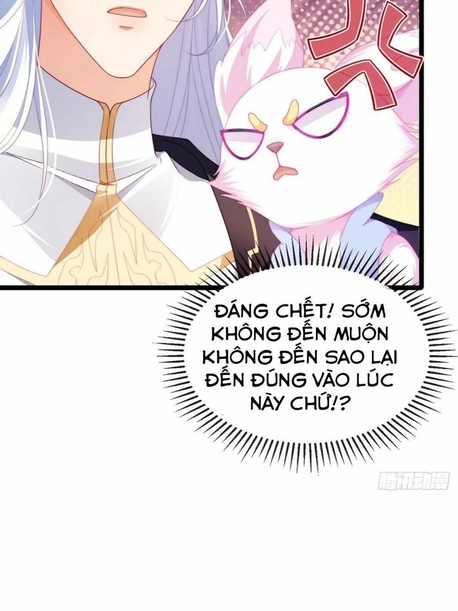 100 Cách Ngược Tra Nữ Chapter 20 - 5