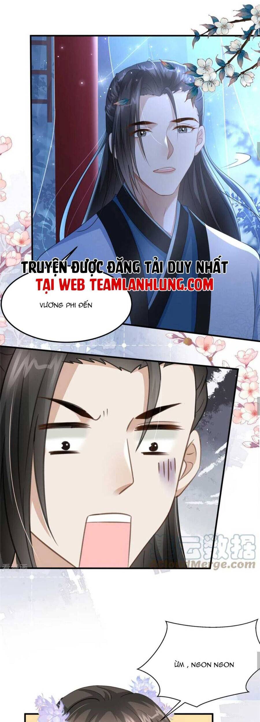 Xuyên Qua Làm Vương Phi Xinh Đẹp Của Vương Gia Chapter 31 - 16