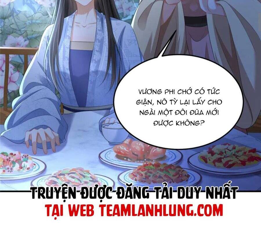 Xuyên Qua Làm Vương Phi Xinh Đẹp Của Vương Gia Chapter 31 - 19