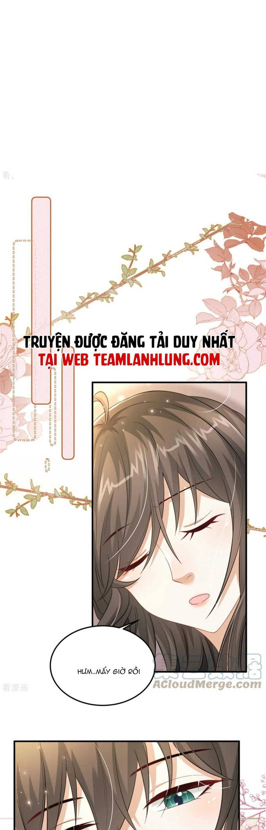 Xuyên Qua Làm Vương Phi Xinh Đẹp Của Vương Gia Chapter 33 - 17