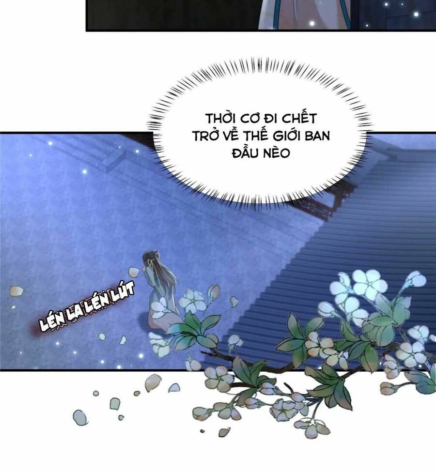 Xuyên Qua Làm Vương Phi Xinh Đẹp Của Vương Gia Chapter 4 - 21